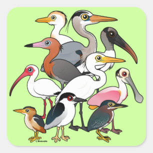 North American Waders Square Sticker