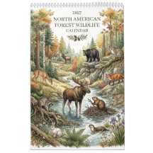 North American Wildlife - Single Page 2027