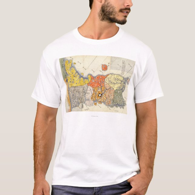 North and South KoreaPanoramic Map T-Shirt (Front)
