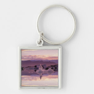 North Atlantic, Iceland, Breioamerkurjokull Key Ring
