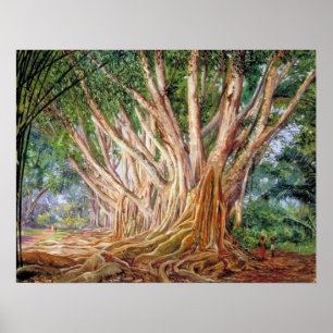 North - Avenue Of Indian Rubber Trees, Peradeniya Poster