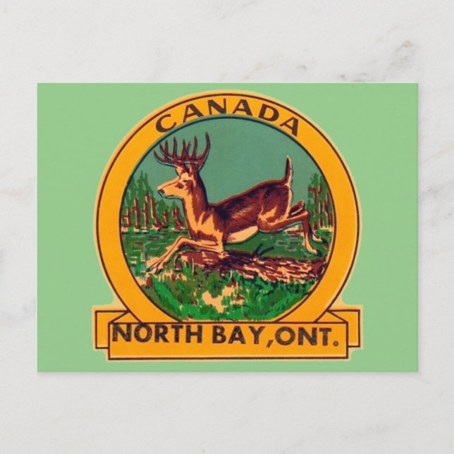  North Bay, Ontario - Postcard (Front)