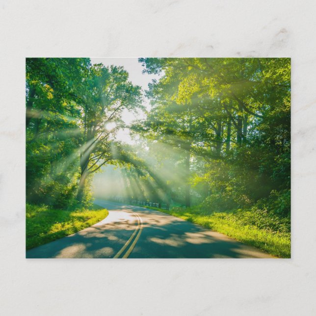 north carolina blue ridge barkway mountains postcard (Front)