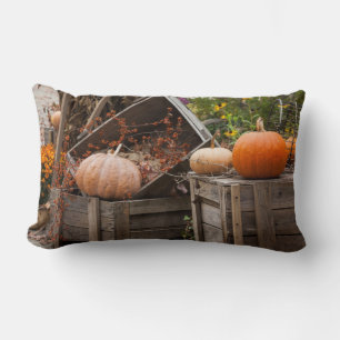 North Carolina, Linville, autumn pumpkins Lumbar Cushion