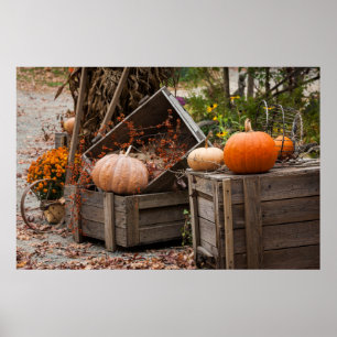 North Carolina, Linville, autumn pumpkins Poster