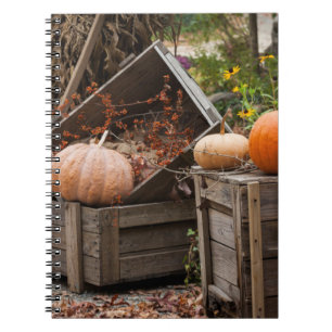 North Carolina, Linville, autumn pumpkins Spiral Notebook