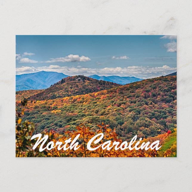 north carolina postcard (Front)