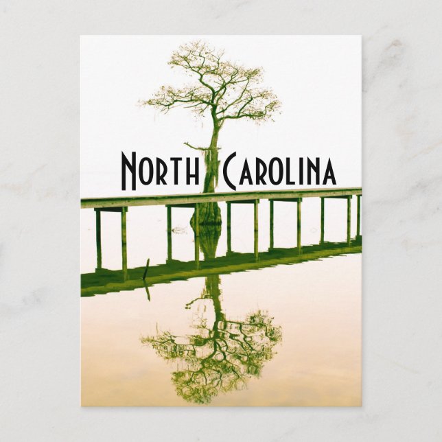 north carolina postcard (Front)