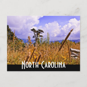 north carolina postcard