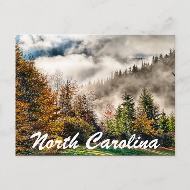 north carolina postcard (Front)