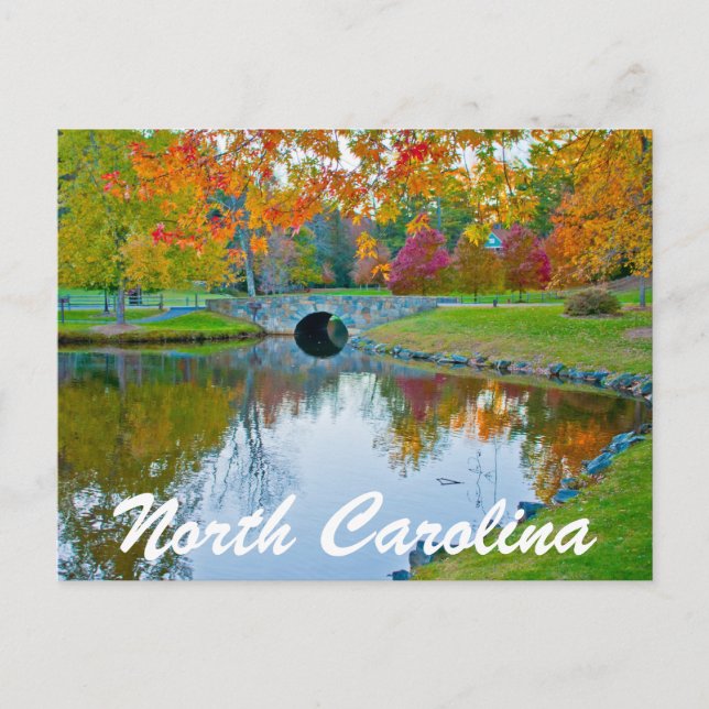 north carolina postcard (Front)