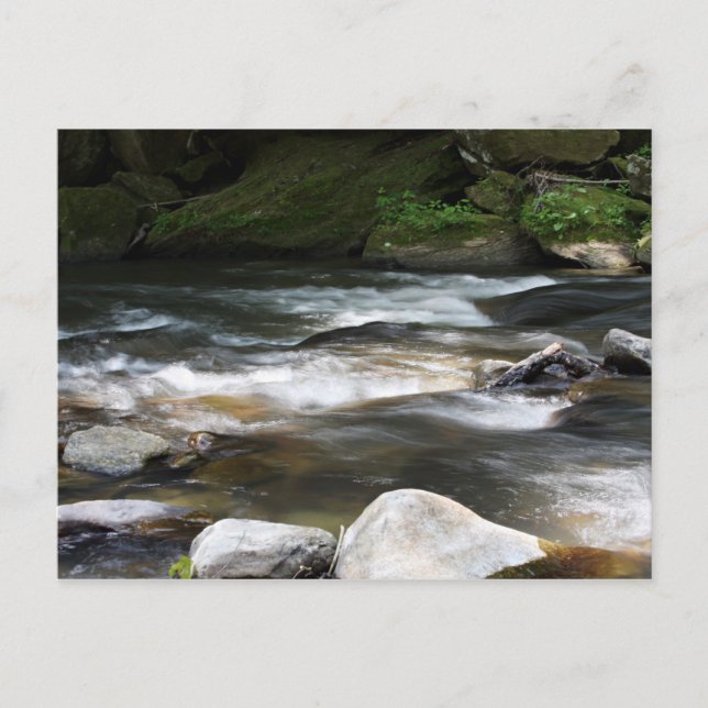 North Carolina River Postcard (Front)