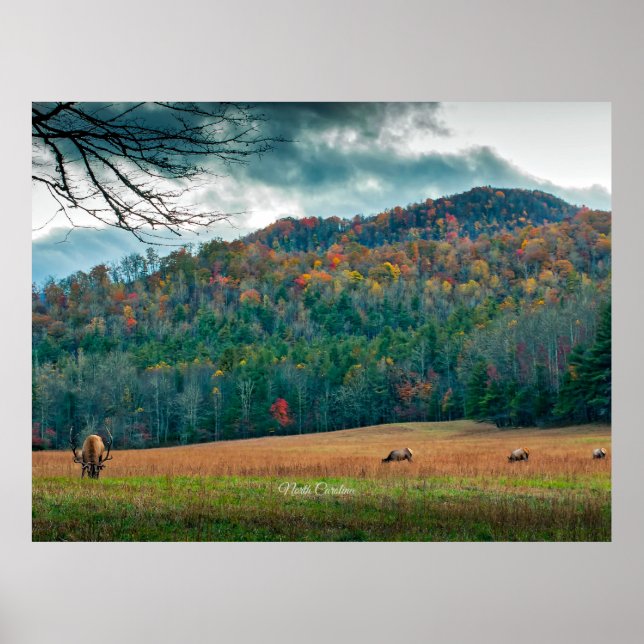 North Carolina scenic meadow (labeled) Poster (Front)