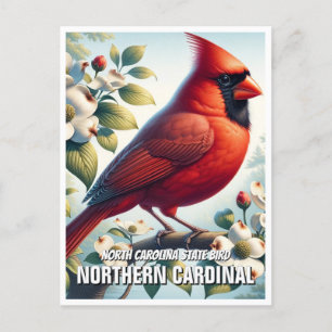 North Carolina State Bird Northern Cardinal Postcard