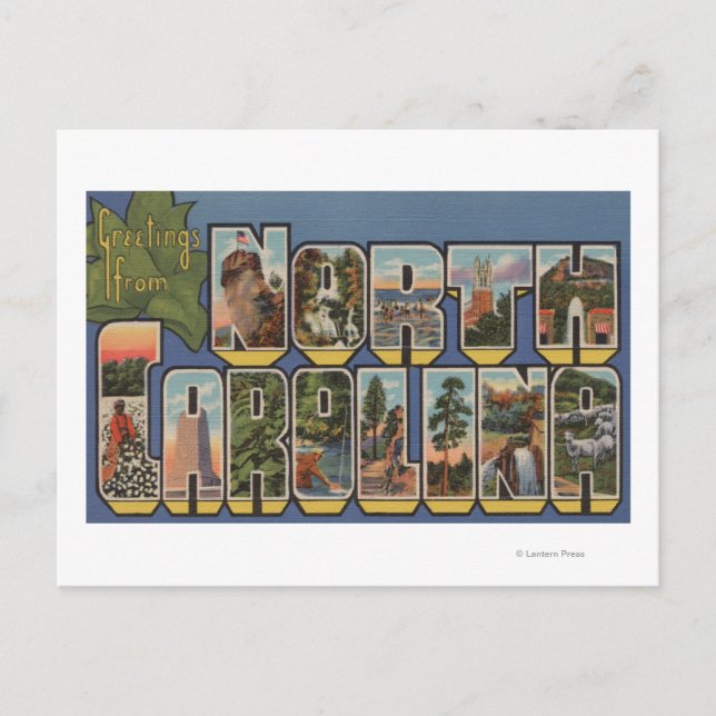 North Carolina (State Capital/Flower) Postcard (Front)