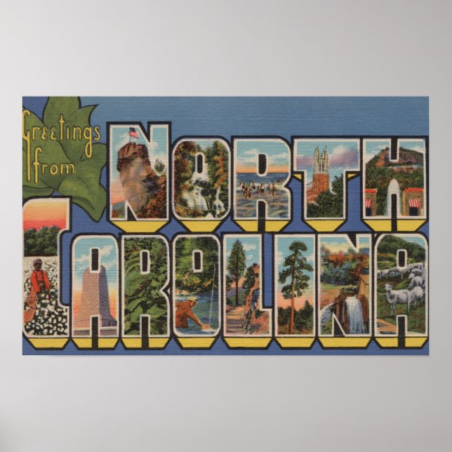 North Carolina (State Capital/Flower) Poster (Front)