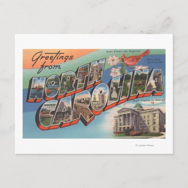 North Carolina (State Flower/Bird) Postcard (Front)