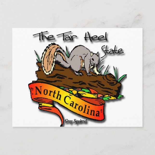 North Carolina Tar Heel State Grey Squirrel Postcard (Front)
