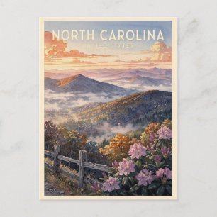 North Carolina USA Vintage Travel Postcard