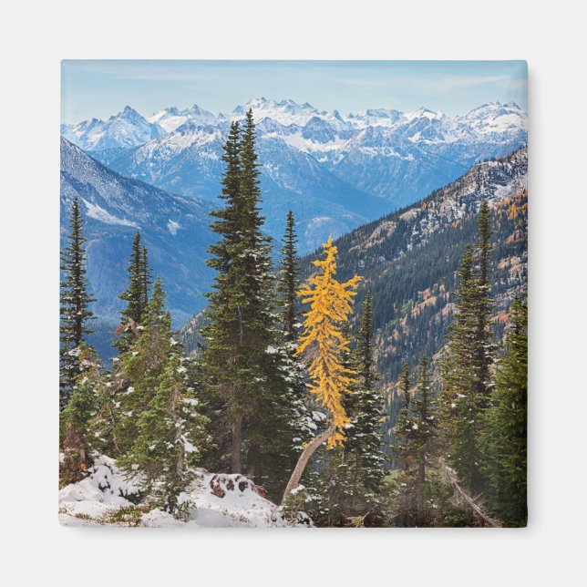 North Cascade Mountains Wenatchee National Forest Magnet (Front)