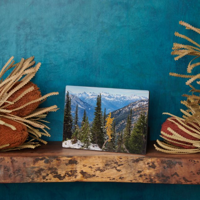 North Cascade Mountains Wenatchee National Forest Plaque (Side)