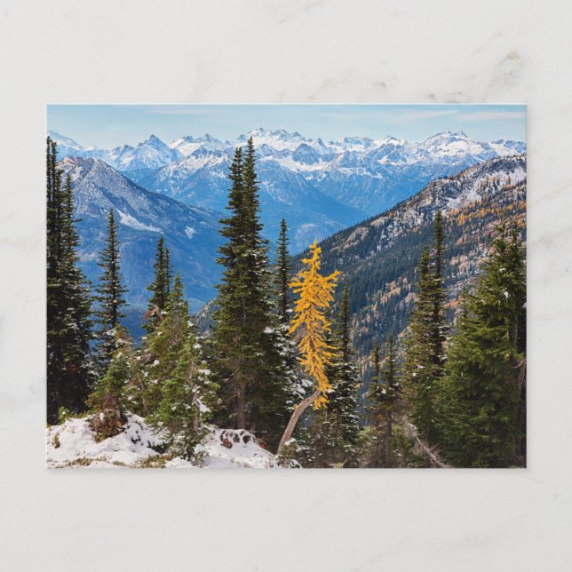 North Cascade Mountains Wenatchee National Forest Postcard (Front)
