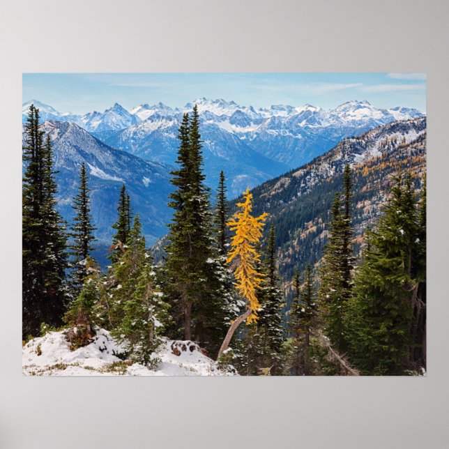 North Cascade Mountains Wenatchee National Forest Poster (Front)