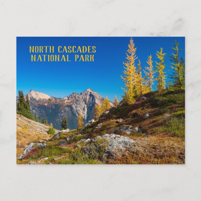 North Cascades Autumn Colour Postcard (Front)