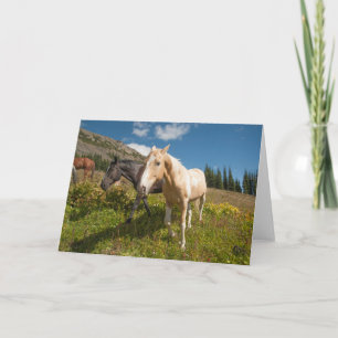 North Cascades National Park Card