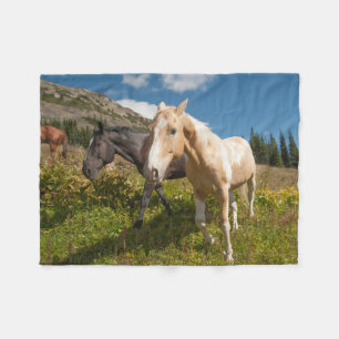 North Cascades National Park Fleece Blanket