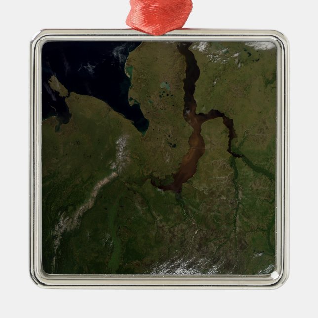 North Central Russia Metal Tree Decoration (Front)