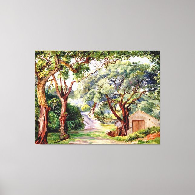 North - Cork Trees at Cintra near Lisbon Canvas Print (Front)