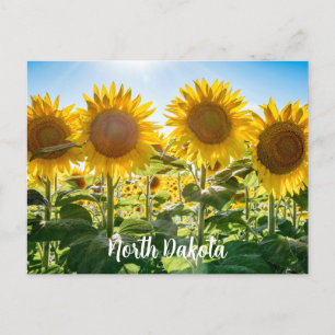 North Dakota Postcard
