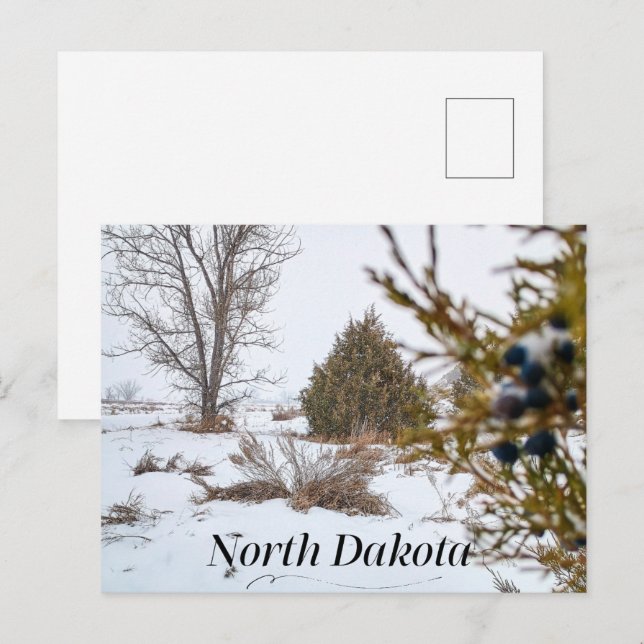 North Dakota Winter Snowstorm  Postcard (Front/Back)