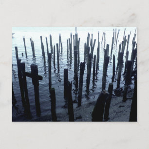 North End Waterfront Pier Remnants Postcard