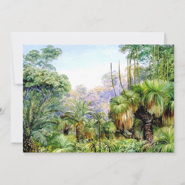 North - Forest Scene in West Australia (Front)
