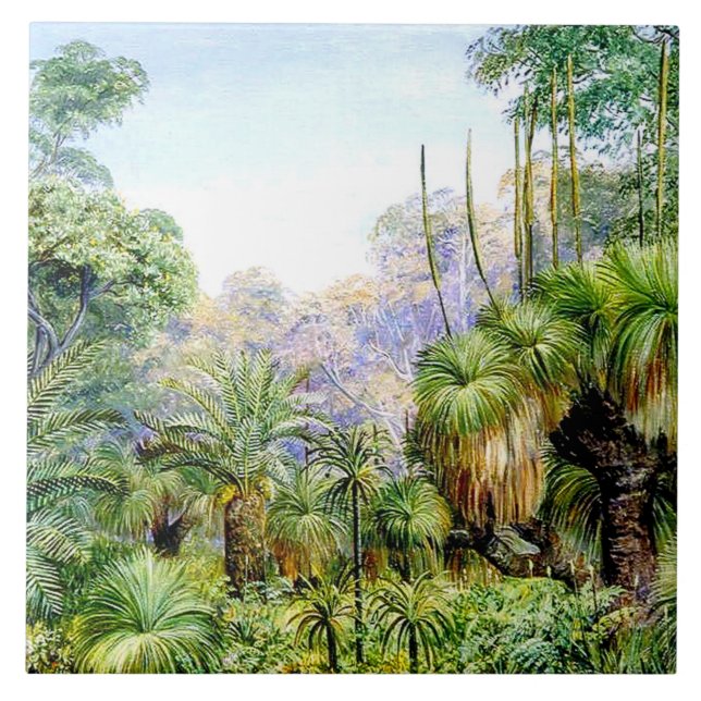 North - Forest Scene in West Australia Tile (Front)