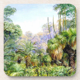 North - Forest Scene in West Australia, vintage Coaster