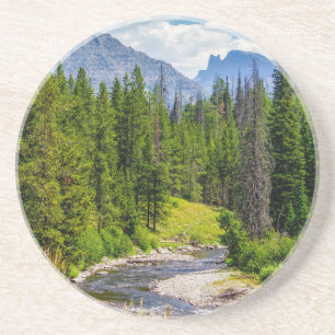 North Fork Shoshone River Coaster