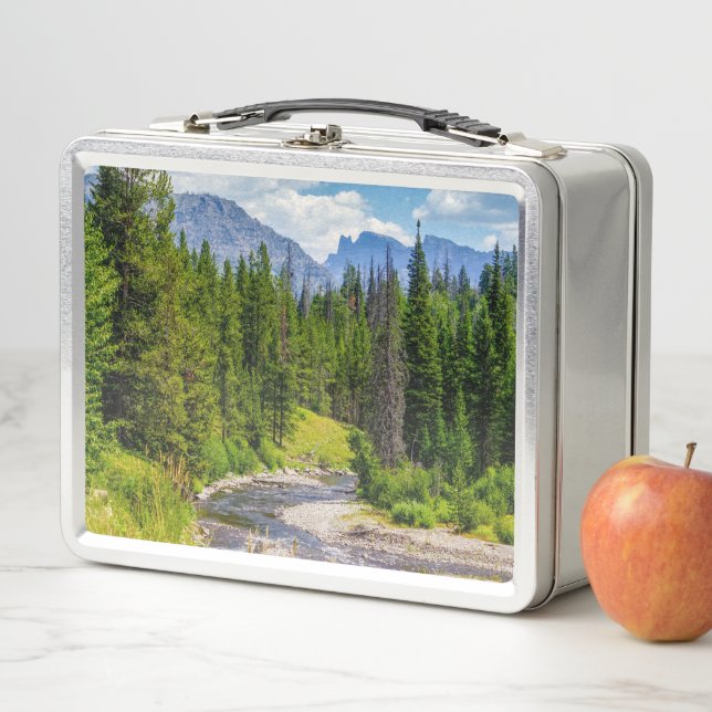 North Fork Shoshone River Metal Lunch Box (In Situ)