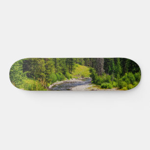 North Fork Shoshone River Skateboard