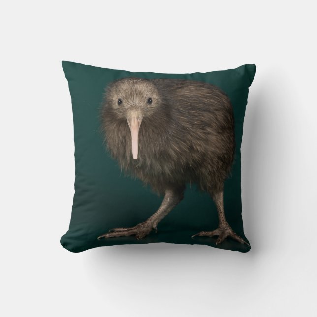 North Island Brown Kiwi Cushion (Front)
