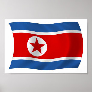 North Korea Flag Poster Print