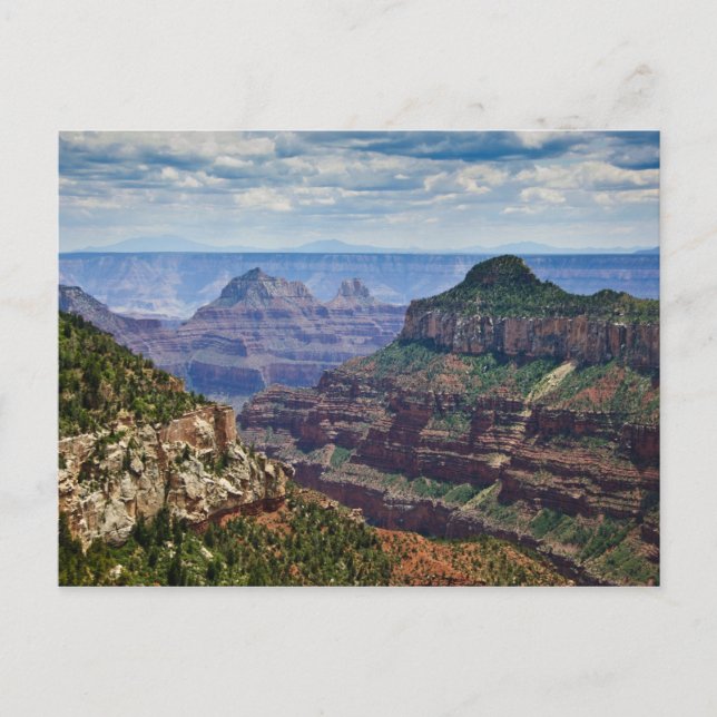 North Rim Gran Canyon - Grand Canyon National Postcard (Front)