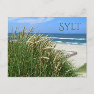 North Sea, Beach, Dune Grass, Sylt, Nordfriesland Postcard