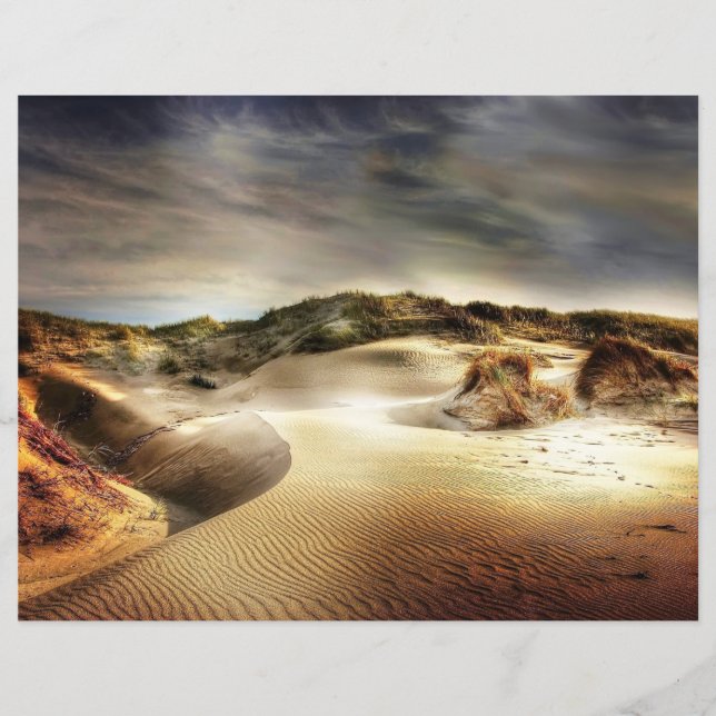 North Sea Dunes Scrapbook Paper (Front)