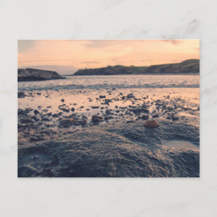 North Sea Shell Postcard