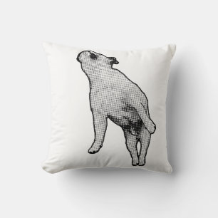 North Star Quiet Cushion