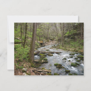 North Sylamore Creek Postcard