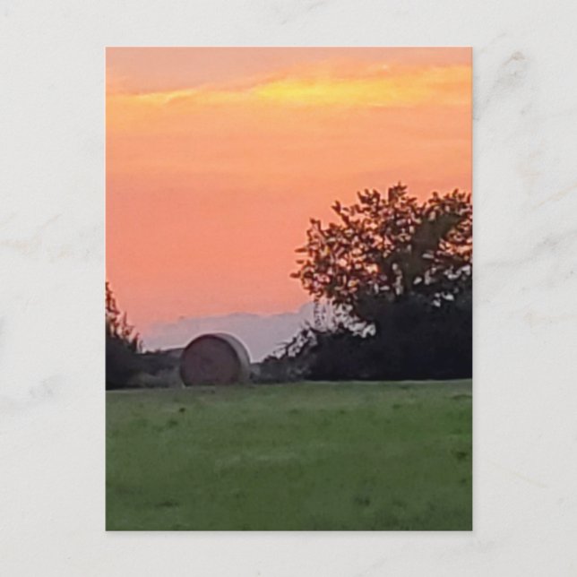 North Texas Sunset Postcard (Front)